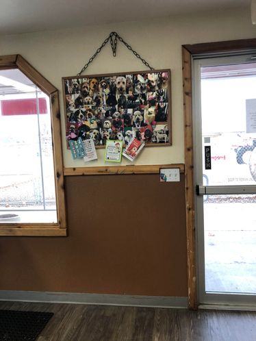 Mission Mountain Pet Service Inc.: 11 7th Ave W, Polson, MT 59860